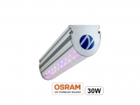 Led Groeilamp 30  OSRAM Leds