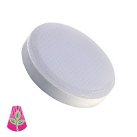 Led Groeilamp 5 watt Volledig Spectrum GX53